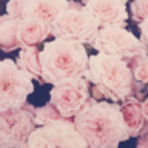 Meet your Posher, Bianca